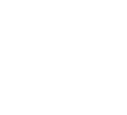 Fortis Group